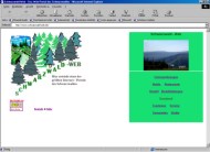 Schwarzwald-web